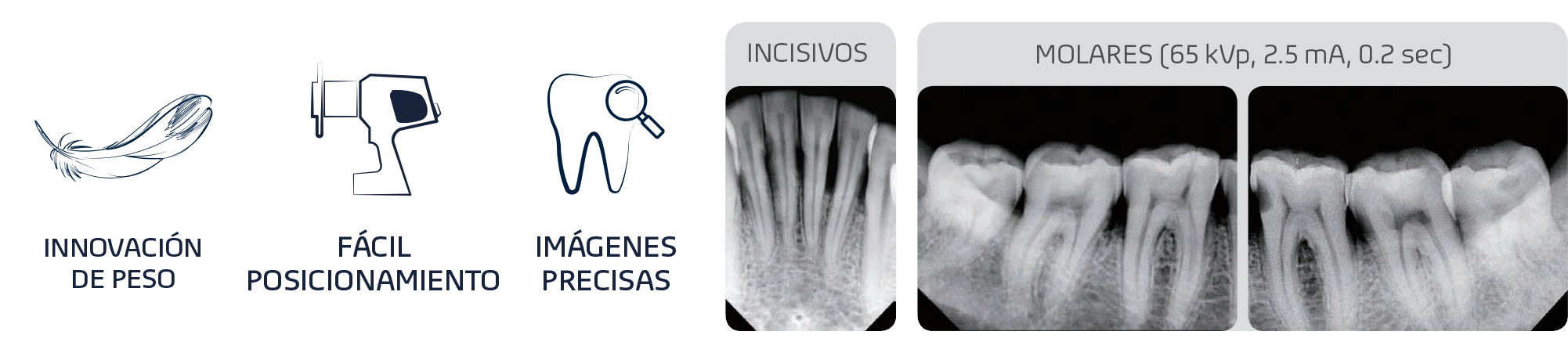 NanoTecnología de Carbono